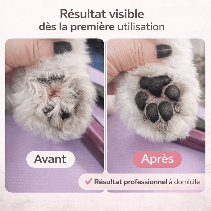 Kit de toilettage maison : tondeuse silencieuse LED pour coupe de poils de chiens et chats.