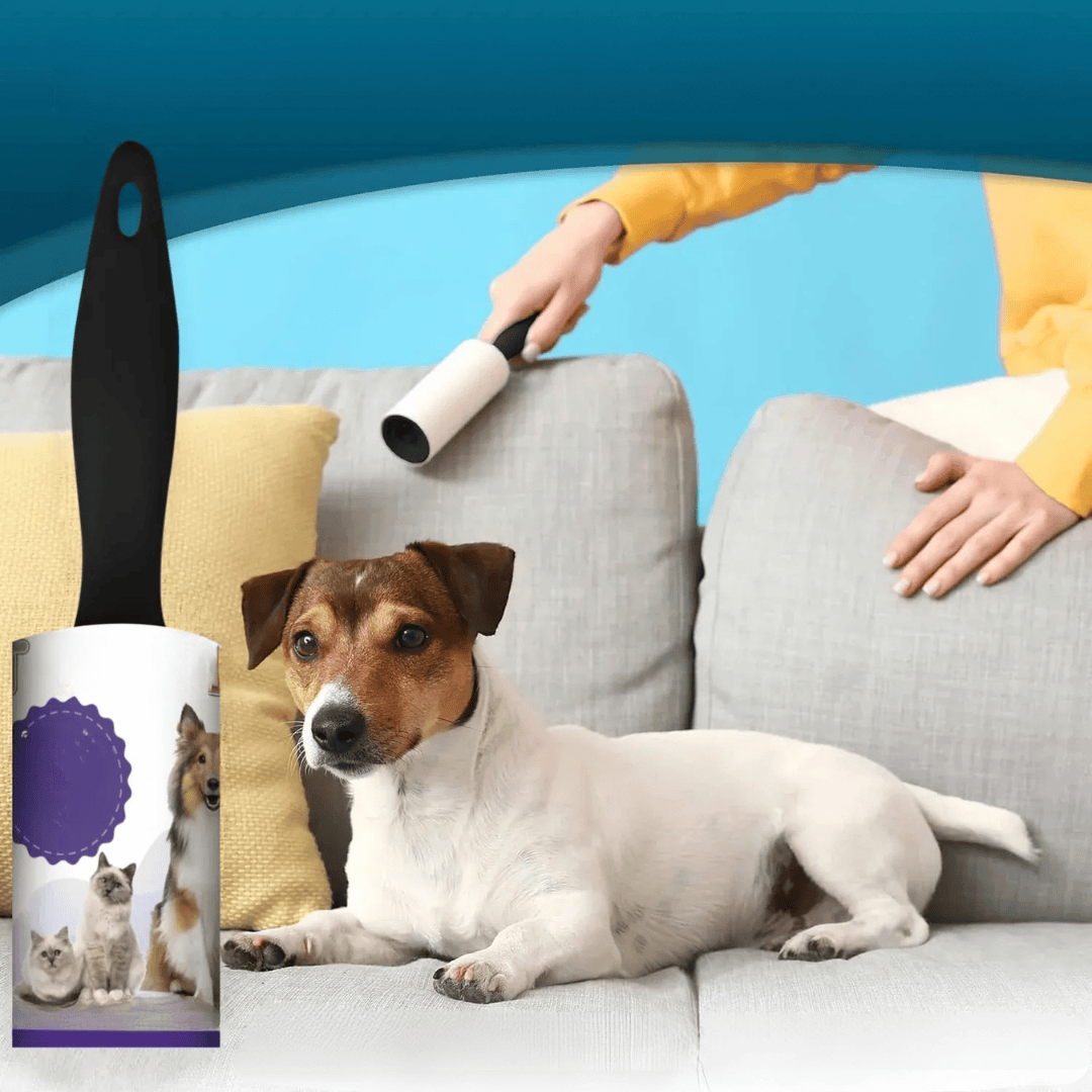 Rouleau adhésif anti-poils animaux pour vêtements, élimine efficacement poils de chien et peluches.