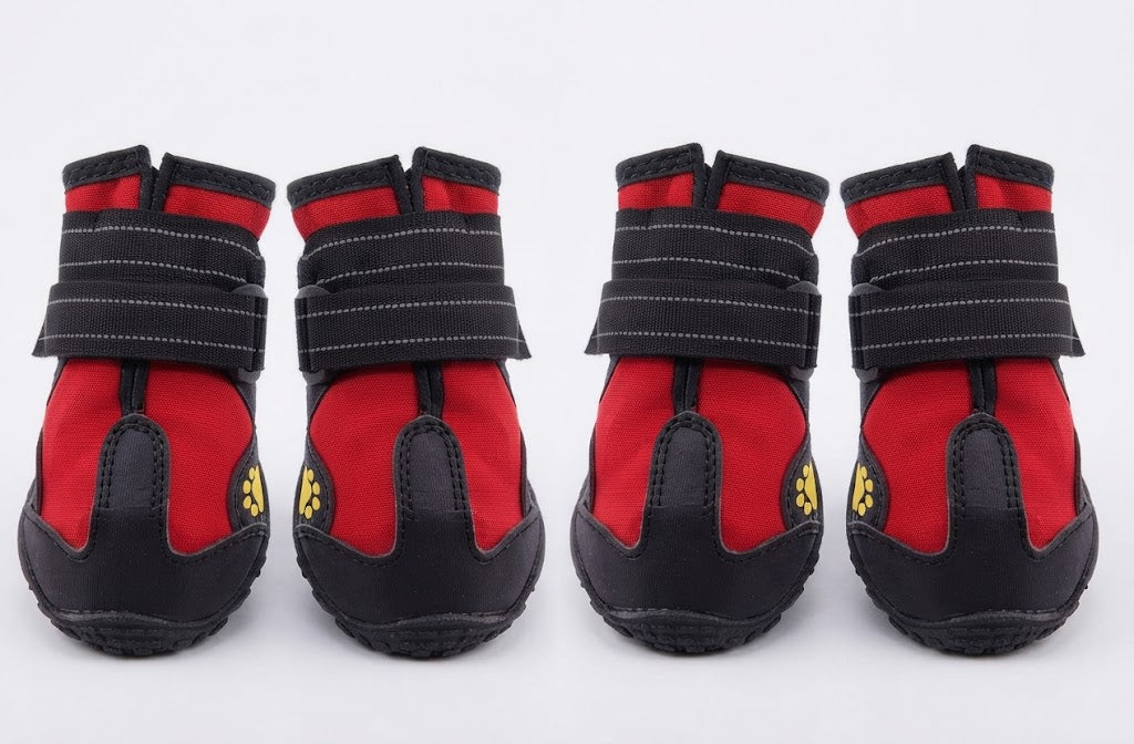 Bottes robustes pour chiens actifs, protection des pattes contre les terrains difficiles et coupants.