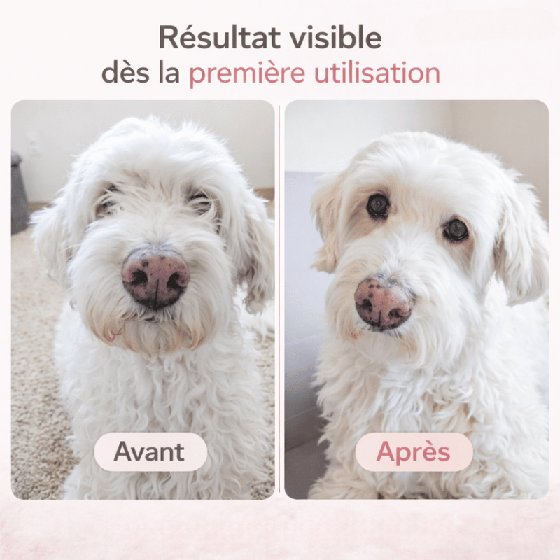 Lames précises de tondeuse pour chien et chat, assure une coupe nette et sécurisée du pelage.