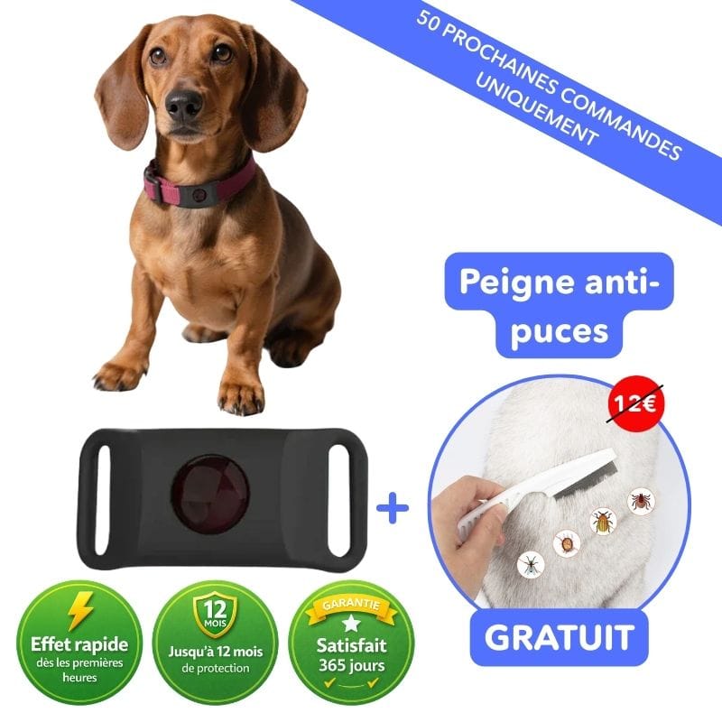 Pendentif imperméable anti-puces et tiques pour chien. Protection continue même pendant les baignades.