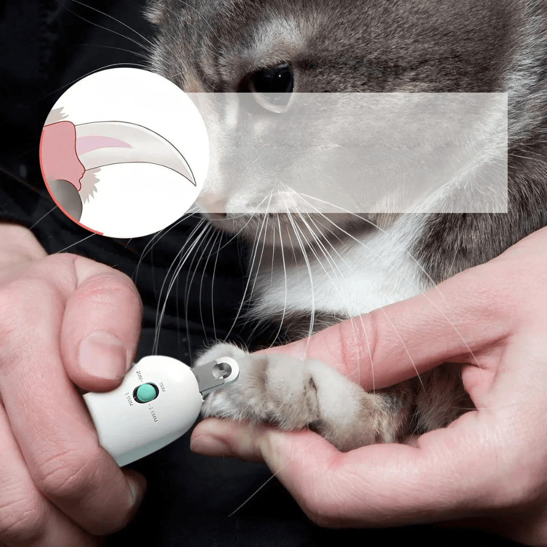 Outil de toilettage ajustable pour couper les griffes de votre chat ou chien, soin précis et sécurisé.