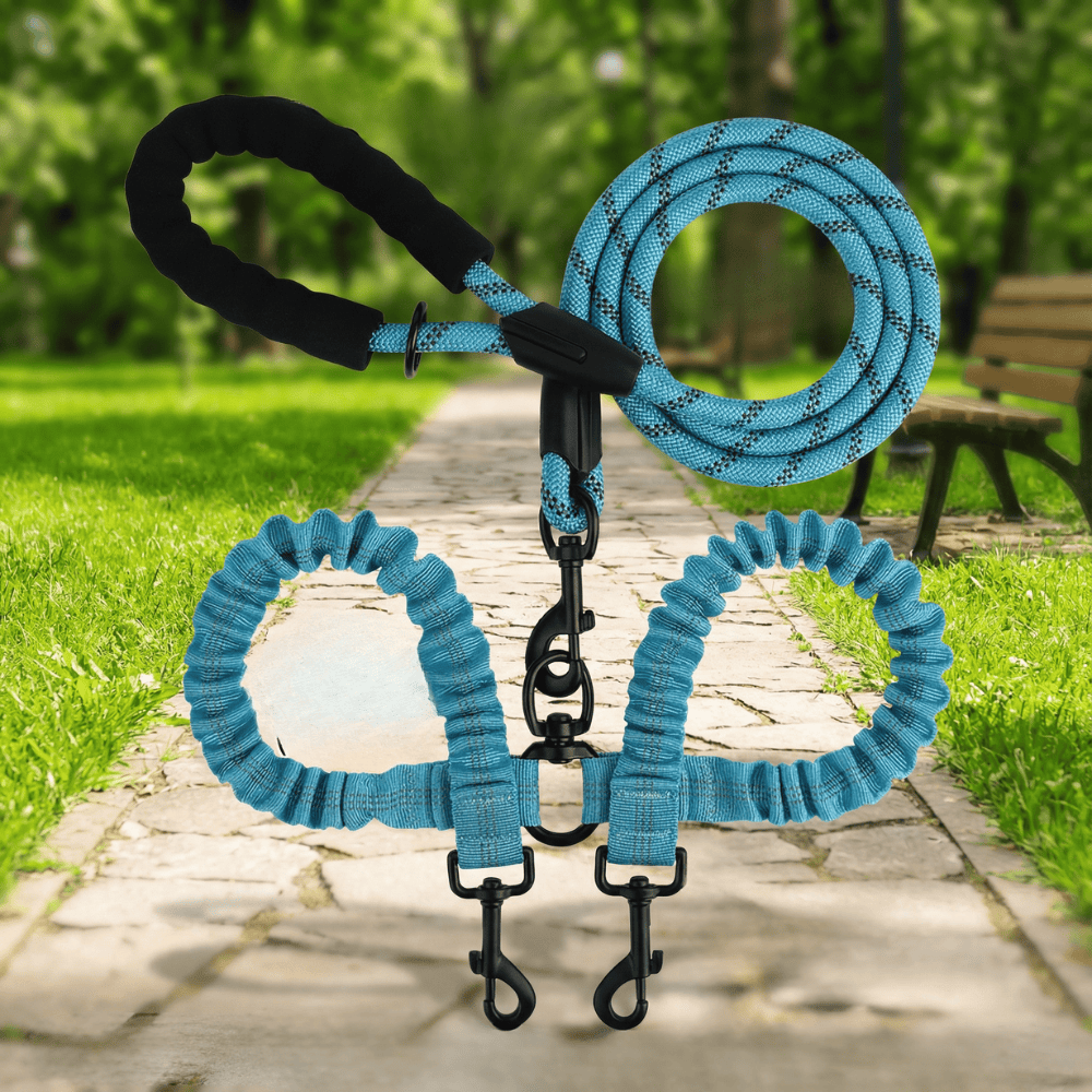 Promenez 2 chiens facilement avec cette laisse double anti-choc et rotule 360° en nylon robuste.