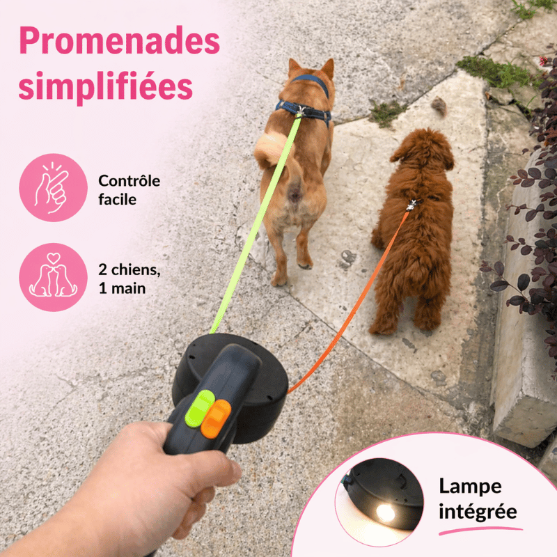 Laisse double robuste pour chiens, design moderne. Système pivotant 360° pour une meilleure expérience de promenade.