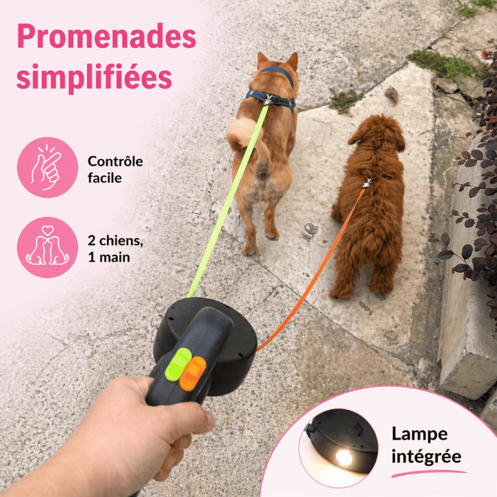 Laisse double robuste pour chiens, design moderne. Système pivotant 360° pour une meilleure expérience de promenade.