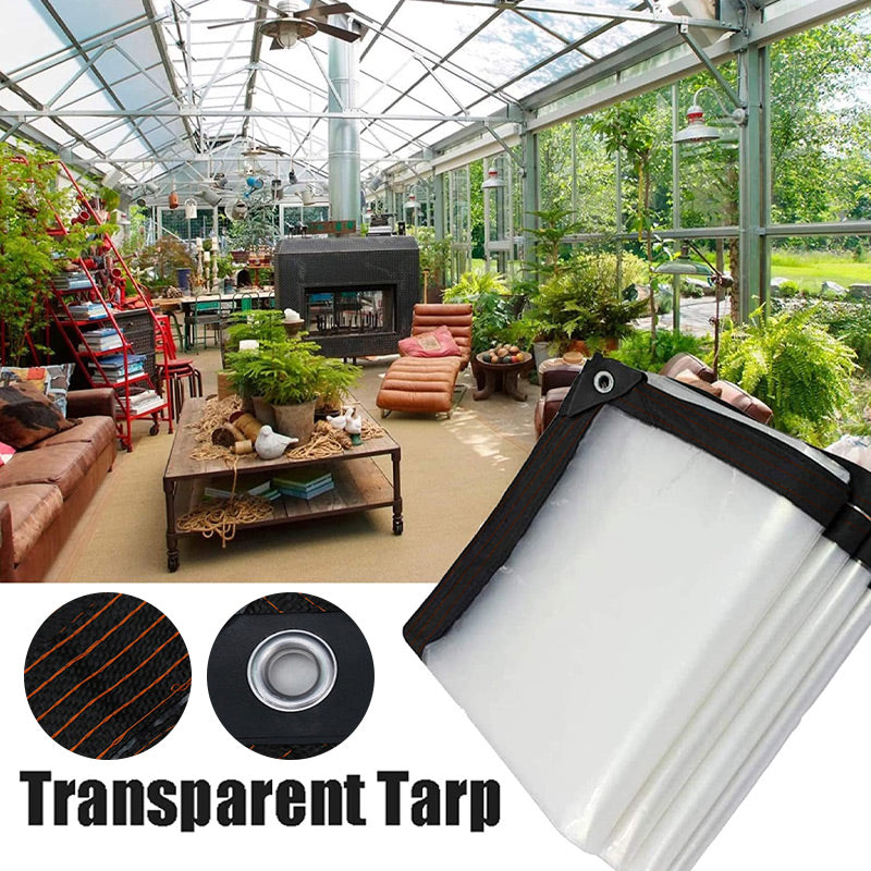 Bâche transparente protégeant les végétaux du gel et de la pluie. Solution durable pour abriter plantes de jardin.