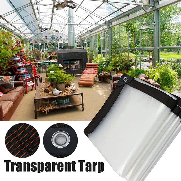 Bâche transparente protégeant les végétaux du gel et de la pluie. Solution durable pour abriter plantes de jardin.