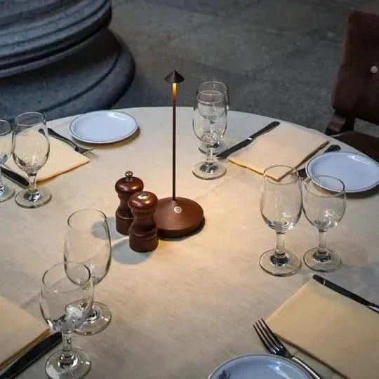 Lampe LED Spikelight dimmable sans fil, éclairage ambiant intérieur/extérieur design moderne aluminium.
