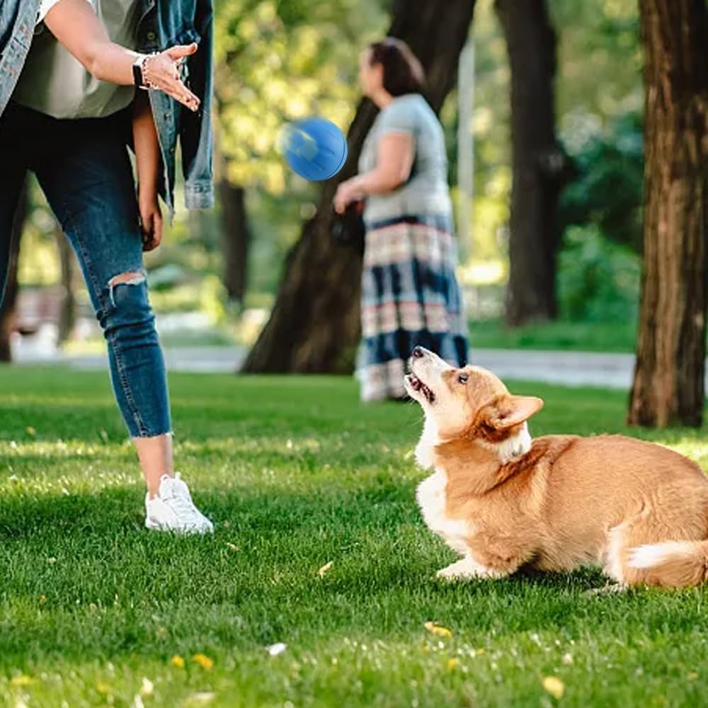 Jouet intelligent WaggleBall USB rechargeable pour animaux de compagnie actifs, avec lumières LED.