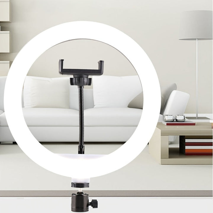 Éclairage beauté LED professionnel avec support pour téléphone, parfait pour maquillage et selfies.