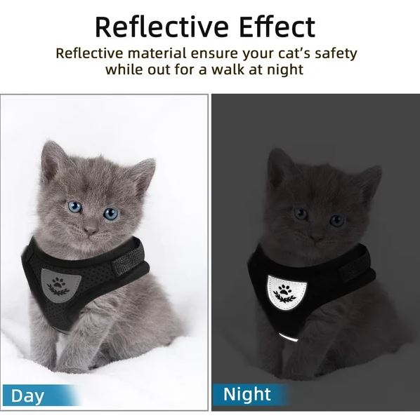 Accessoire chat : harnais de promenade ultra-confortable et respirant, parfait pour toutes les races de chats.
