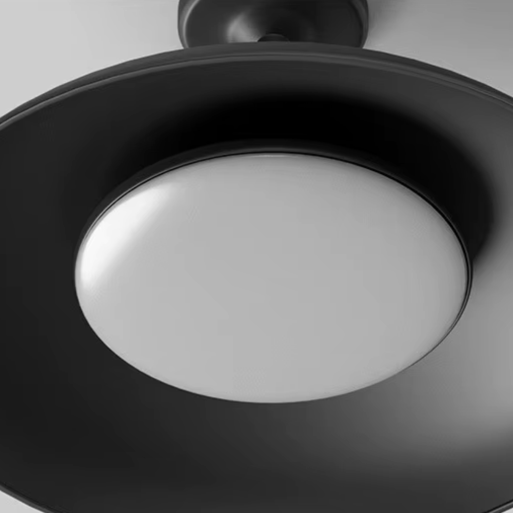 Design moderne : plafonnier extérieur rond noir IP65, éclairage patio et porche. Parfait pour une touche élégante.