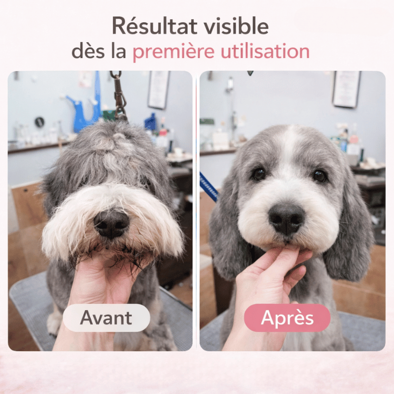 Tondeuse LED rechargeable pour animaux, éclairage intégré pour un toilettage méticuleux des poils.