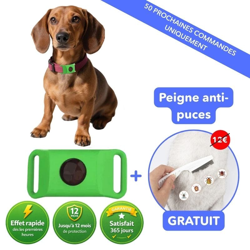 Pendentif naturel pour chien, repousse puces et tiques avec huiles essentielles. Zéro produit chimique.