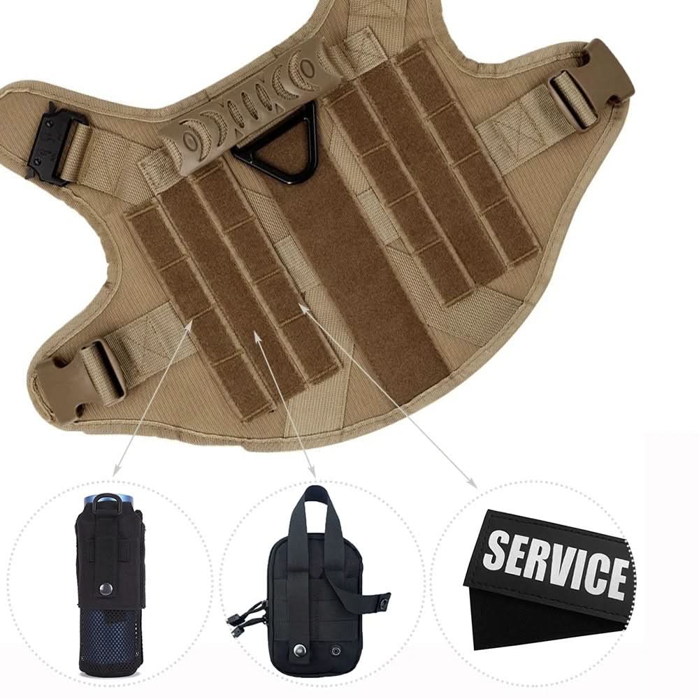 Chien portant un harnais tactique robuste, prêt pour l'aventure et l'entraînement en extérieur.