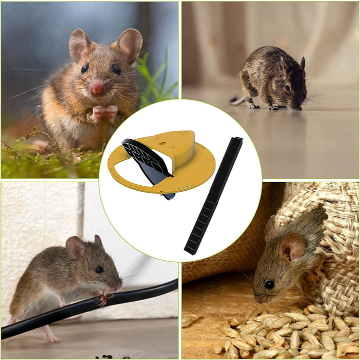 Solution éthique de lutte antiparasitaire : piège à souris humain avec couvercle de seau pour contrôle des nuisibles.