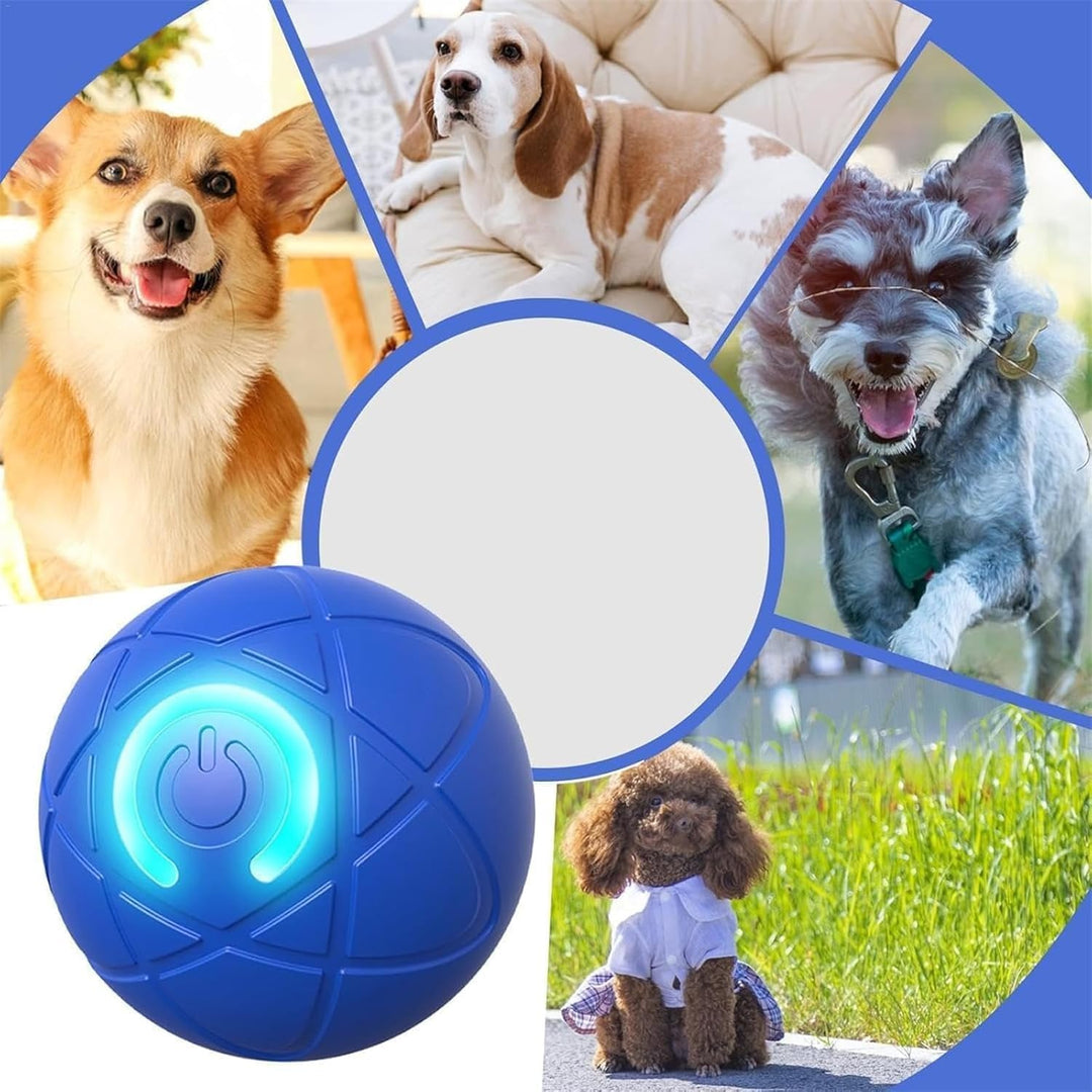 Balle d'activité WaggleBall pour chiens, stimule le jeu et réduit l'ennui avec lumières LED.