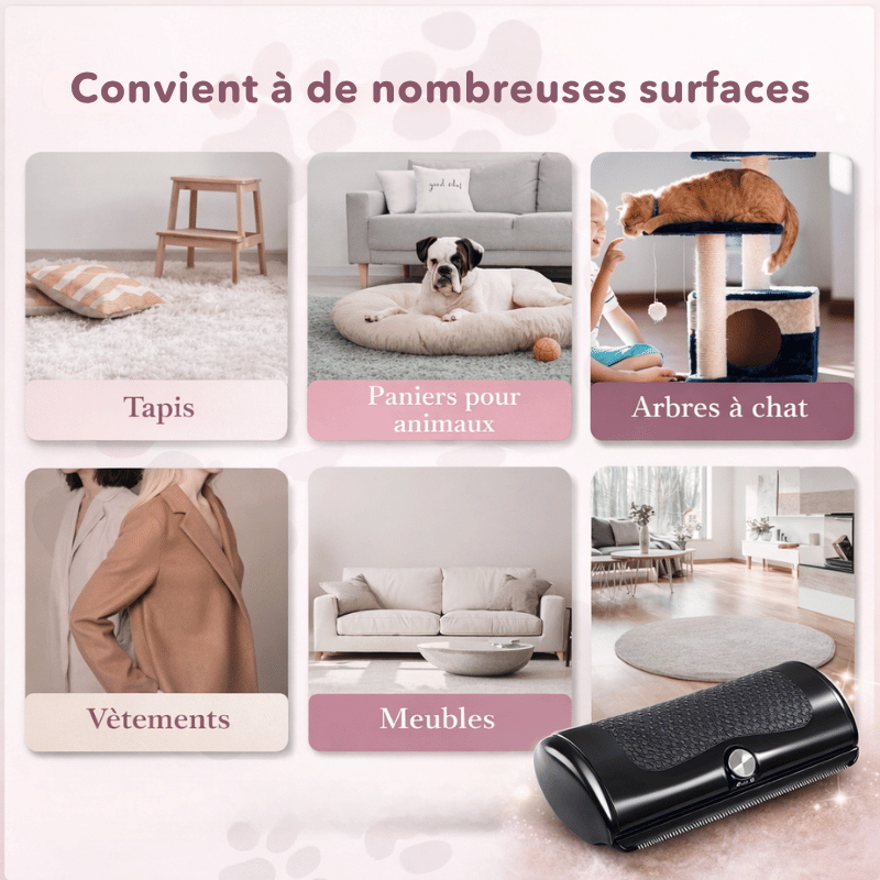 Brosse anti-poils d'animaux pour canapé, tapis et vêtements, un indispensable.