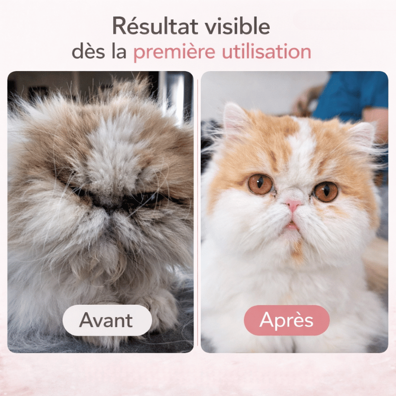 Tondeuse à faible bruit pour chiens et chats, aide à l'hygiène et au soin du pelage animal.