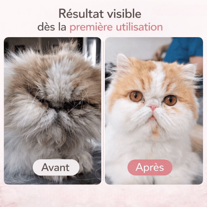 Tondeuse à faible bruit pour chiens et chats, aide à l'hygiène et au soin du pelage animal.