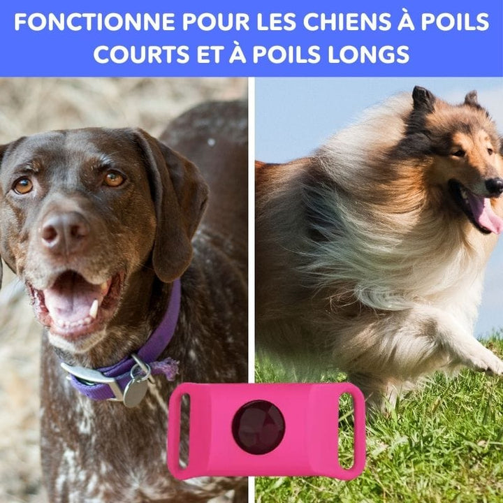 Gros plan sur le pendentif anti-puces et tiques naturel pour chien. Détail du design et matériaux.