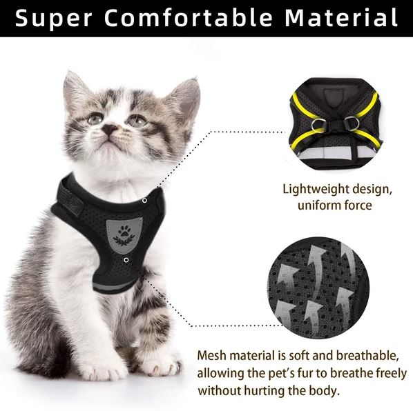 Harnais de sécurité pour chat et chaton, avec design respirant et éléments lumineux pour la visibilité.