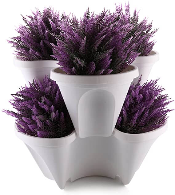 Culture verticale de fraises et herbes aromatiques sur balcon, tonnelle empilable 4 niveaux.