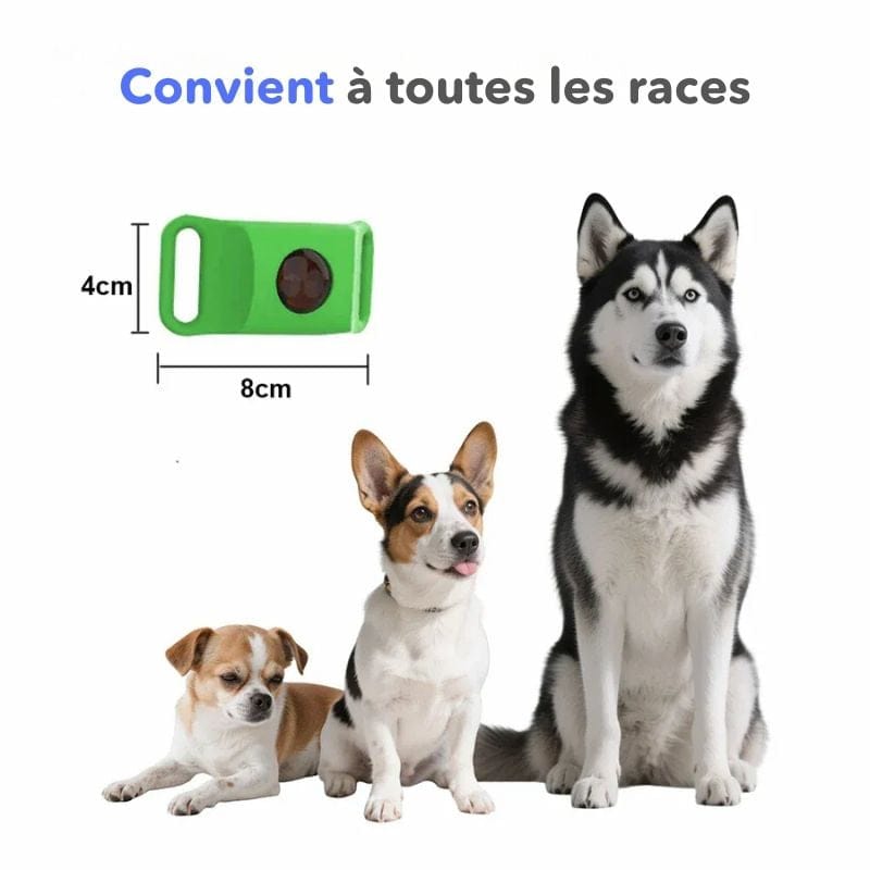 Pendentif chien aux huiles essentielles, solution naturelle contre puces et tiques. Sans danger.