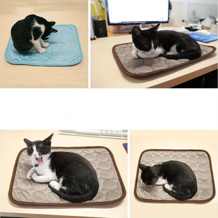 Coussin rafraîchissant innovant en soie glacée, offrant une surface fraîche durable pour le confort de votre animal.