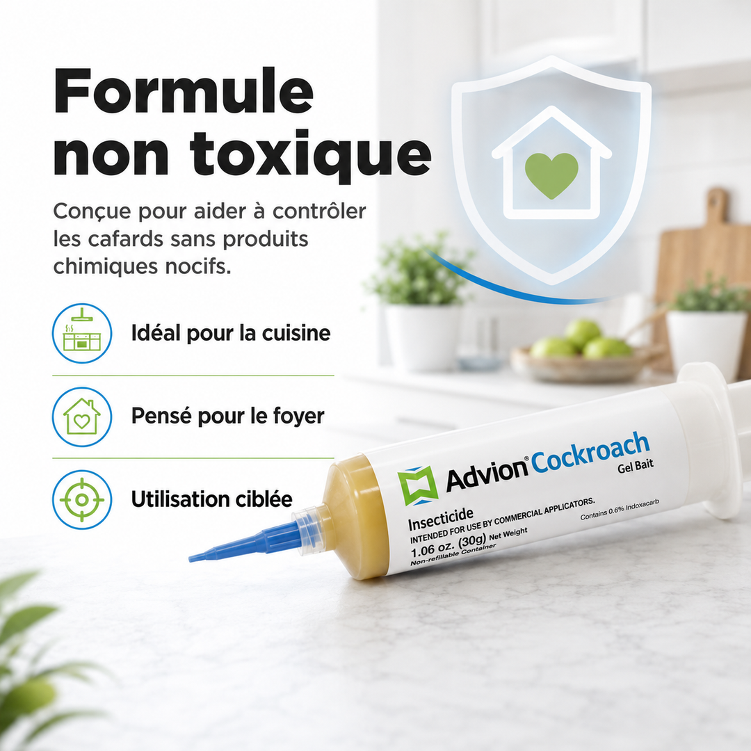 Application du gel anti-cafards non toxique, solution pour éradiquer les parasites dans la maison, intérieur/extérieur.