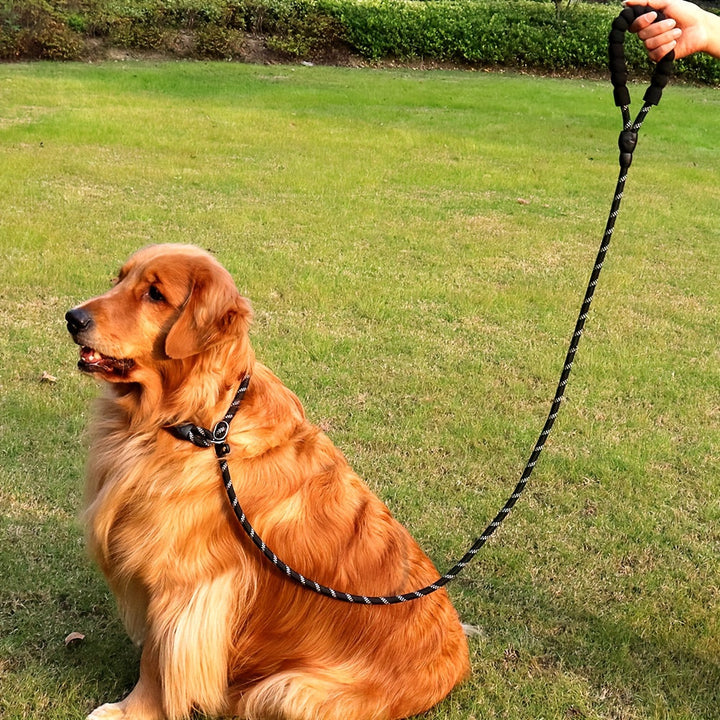 Laisse robuste pour chien, nylon résistant et détails réfléchissants, pour une sécurité et durabilité accrues.