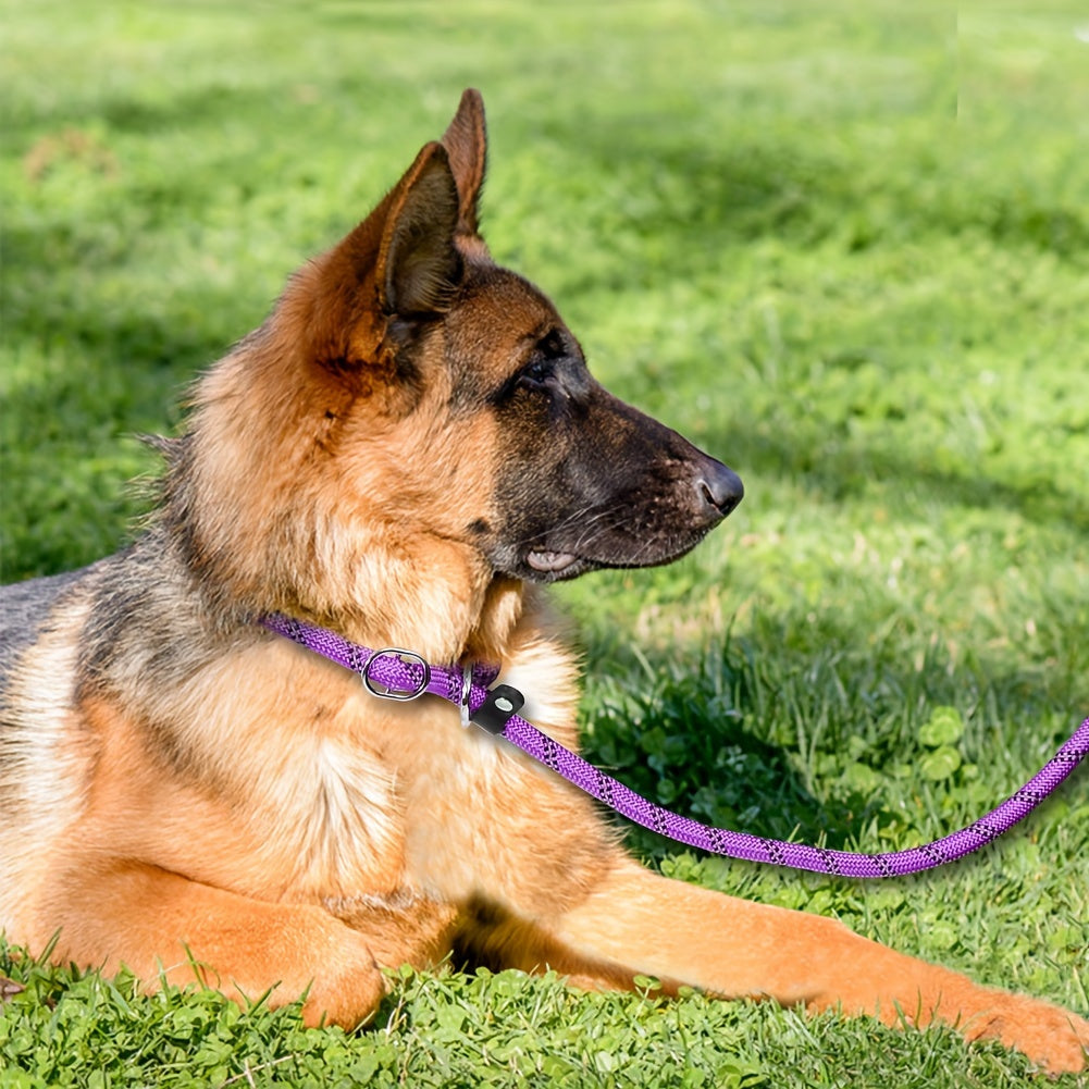 Laisse multifonctionnelle pour chien, réfléchissante, durable et confortable, idéale pour toutes activités canines.