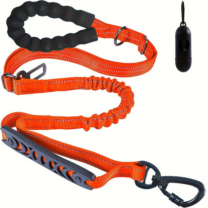 Laisse de dressage réglable pour chien actif, bungee amortissante, réfléchissante pour la sécurité.