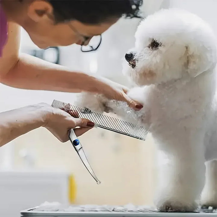 Kit ciseaux toilettage chien/chat en acier inoxydable, qualité pro pour entretien facile du pelage.