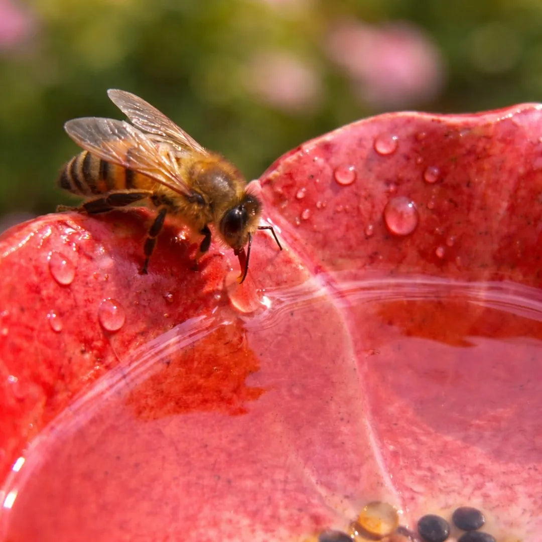 Abreuvoir en céramique pour abeilles intégré au jardin, favorise la nature et l'hydratation des insectes.
