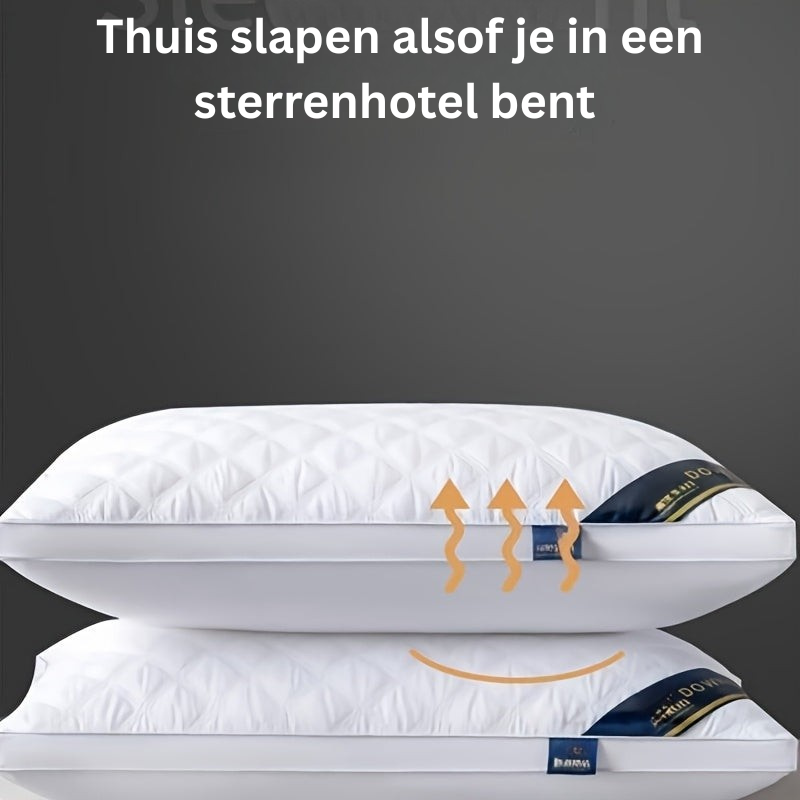 Profitez d'un sommeil luxueux avec ces 2 oreillers 3D, anti-acariens et hypoallergéniques, pour votre bien-être.
