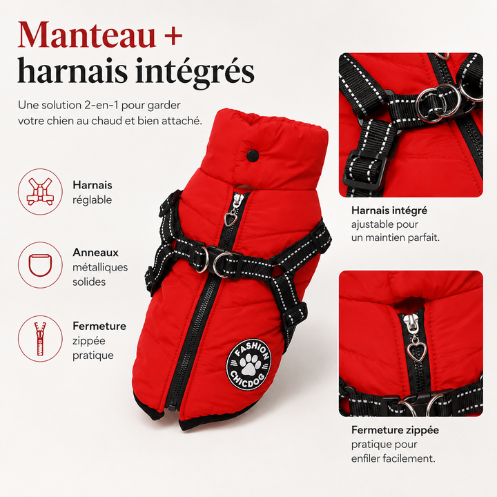Veste chien harnais intégré, imperméable toutes saisons, pour sécurité et confort.