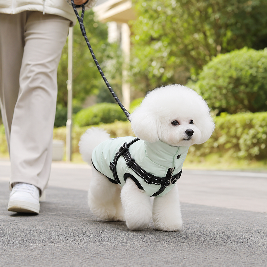 Manteau chien imperméable et respirant, harnais intégré, confort et protection toutes saisons.
