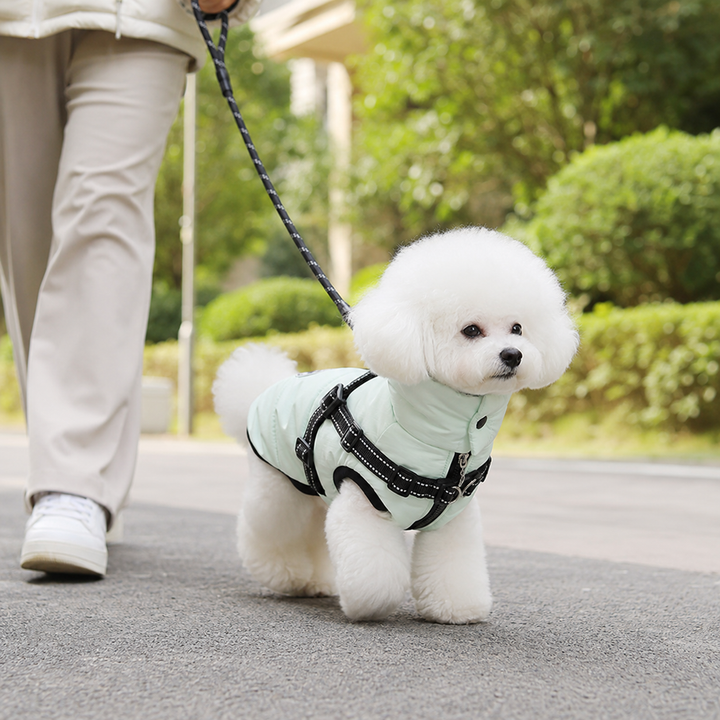 Manteau chien imperméable et respirant, harnais intégré, confort et protection toutes saisons.