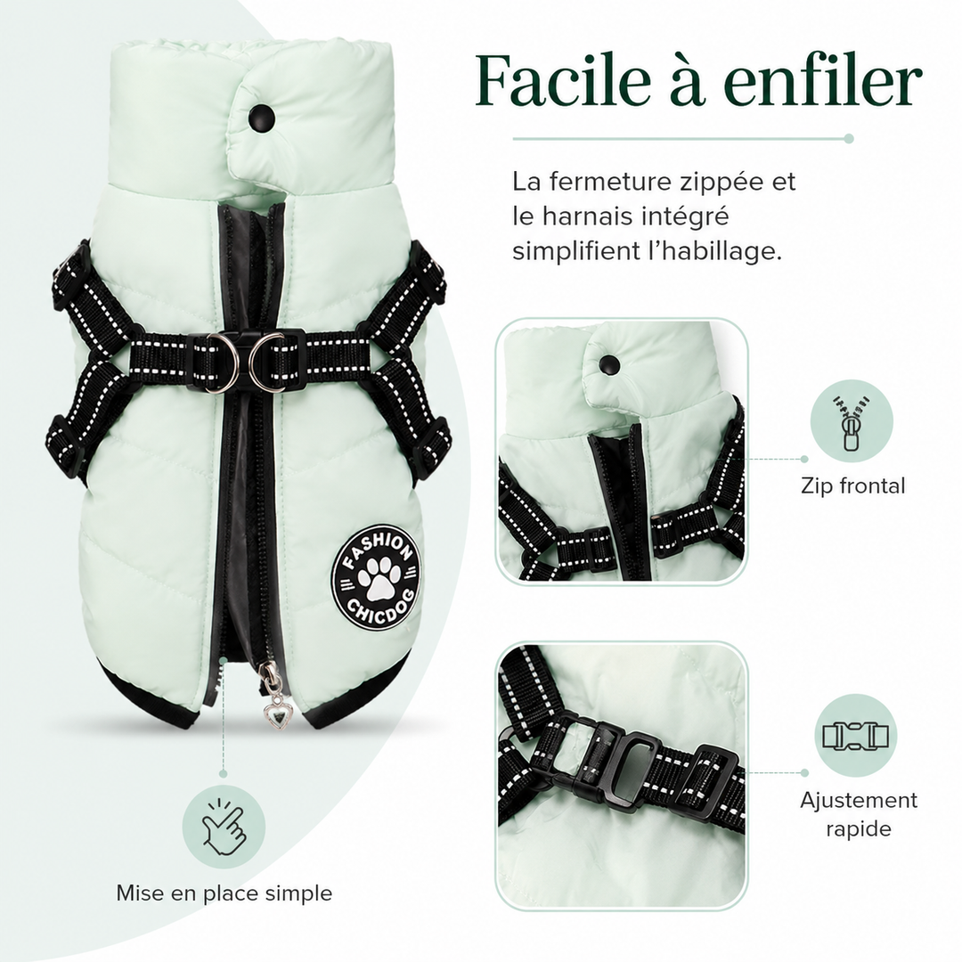 Veste chien anti-froid et pluie, harnais intégré, confortable pour l'hiver.