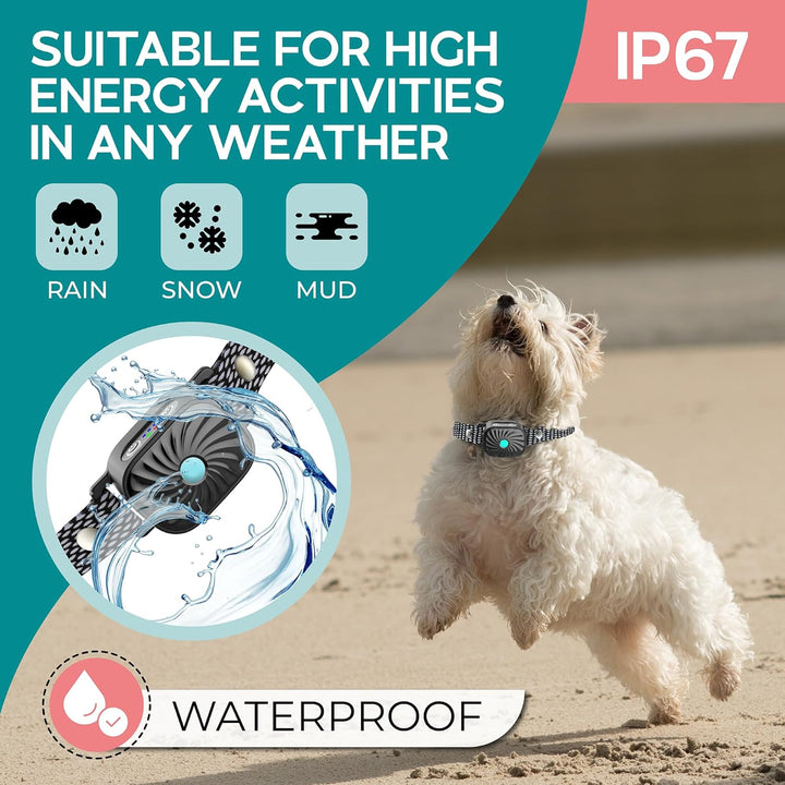 Collier anti-aboiement étanche et rechargeable pour petits chiens, un accessoire essentiel pour leur dressage.