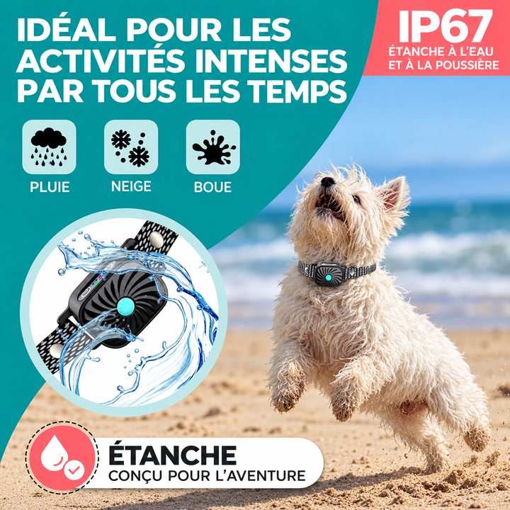 Collier anti-aboiement pour petit chien, un dispositif intelligent et étanche pour une éducation canine réussie.