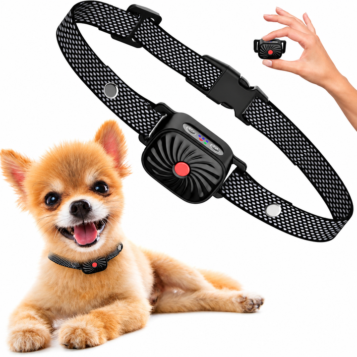 Collier anti-aboiement intelligent pour petit chien, dressage doux et efficace, aide à l'éducation canine.