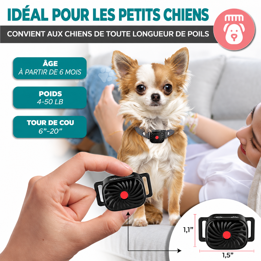 Accessoire d'éducation canine: collier anti-aboiement intelligent et sûr pour le dressage des petits chiens.