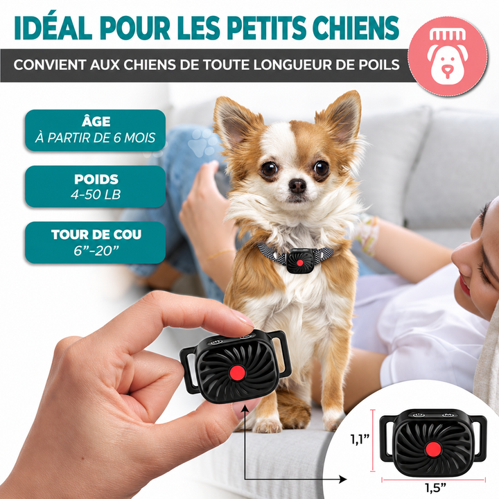 Accessoire d'éducation canine: collier anti-aboiement intelligent et sûr pour le dressage des petits chiens.