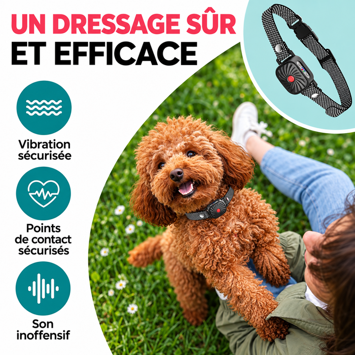 Collier anti-aboiement intelligent pour petits chiens, rechargeable, étanche et durable pour un usage quotidien.