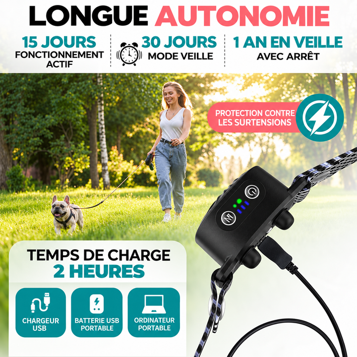 Collier de dressage doux et efficace contre les aboiements, conçu pour le confort et l'éducation des petits chiens.