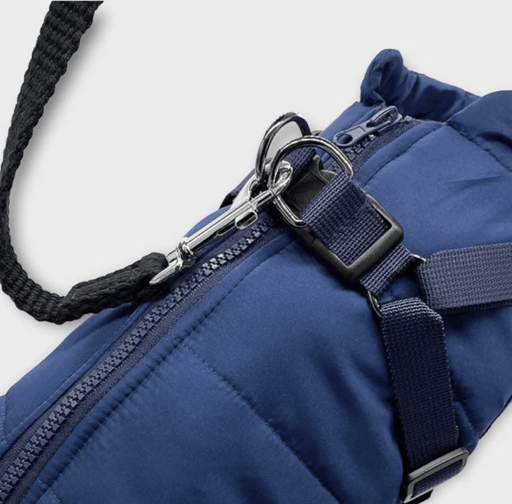 Vêtement chien chaud et imperméable, idéal pour l'hiver, harnais intégré pour petite race.