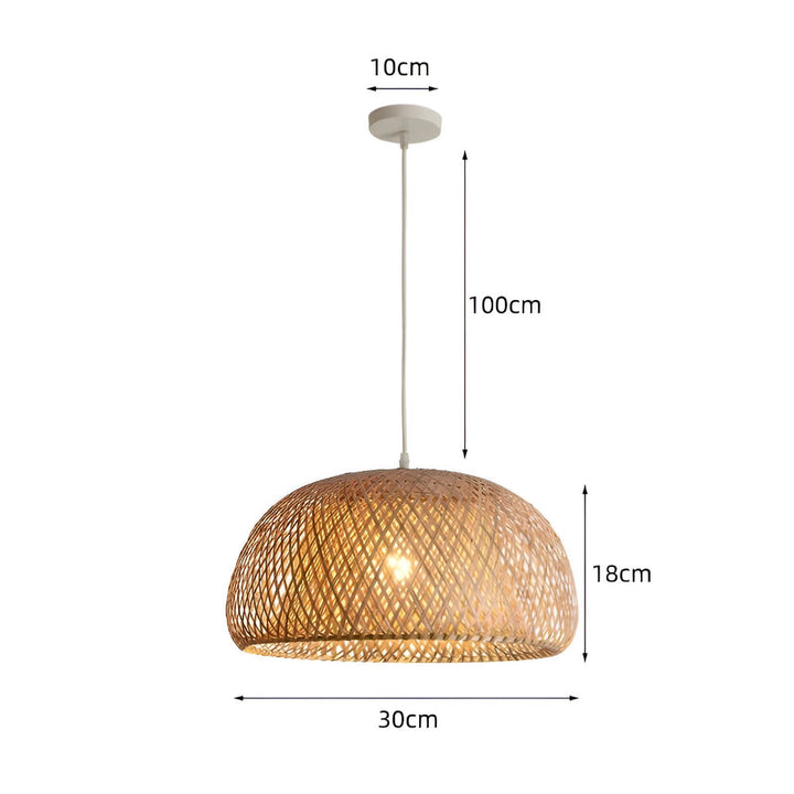 Éclairage intérieur élégant, lampe suspendue design pour une décoration naturelle et moderne.
