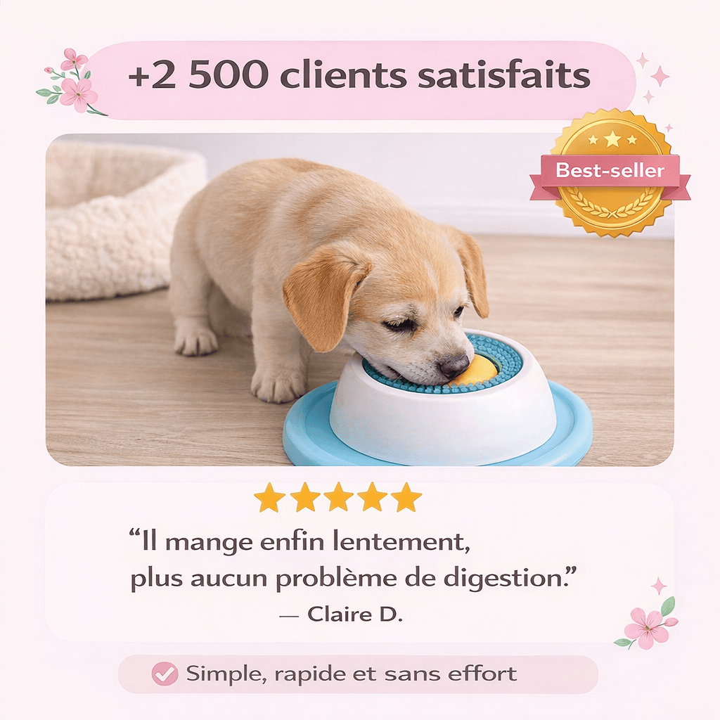 Bol à lécher polyvalent pour chien et chat. Jouet d'alimentation lente, distributeur de friandises apaisant et anti-anxiété.